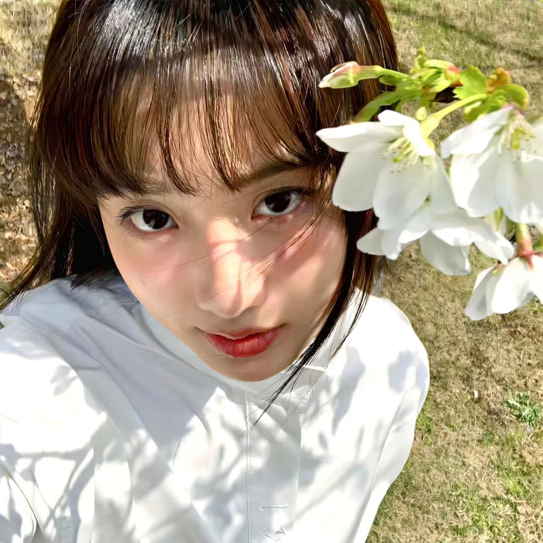逆女泰瑞丝